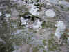 flint.JPG (437513 bytes)