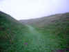 psychicditch.JPG (108995 bytes)
