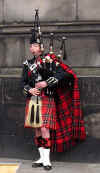 piper2.JPG (85059 bytes)