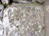 cupmarks.JPG (517262 bytes)