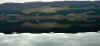 lochness4.JPG (72929 bytes)