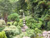 Iaogarden1.JPG (193360 bytes)