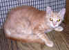 littledude3.JPG (111403 bytes)