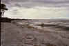 mewaves2.jpg (100202 bytes)
