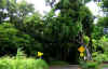 DSCN0280.JPG (207511 bytes)