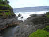 DSCN0290.JPG (153045 bytes)