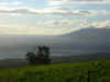 DSCN0302.JPG (118783 bytes)