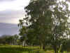 DSCN0304.JPG (192198 bytes)