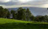 DSCN0305.JPG (143110 bytes)