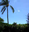 DSCN0328.JPG (100184 bytes)