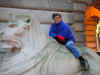 Statelylion.JPG (40366 bytes)