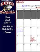 waelitefastpitch.com