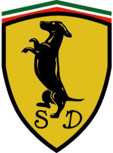 Scuderia Hund3in